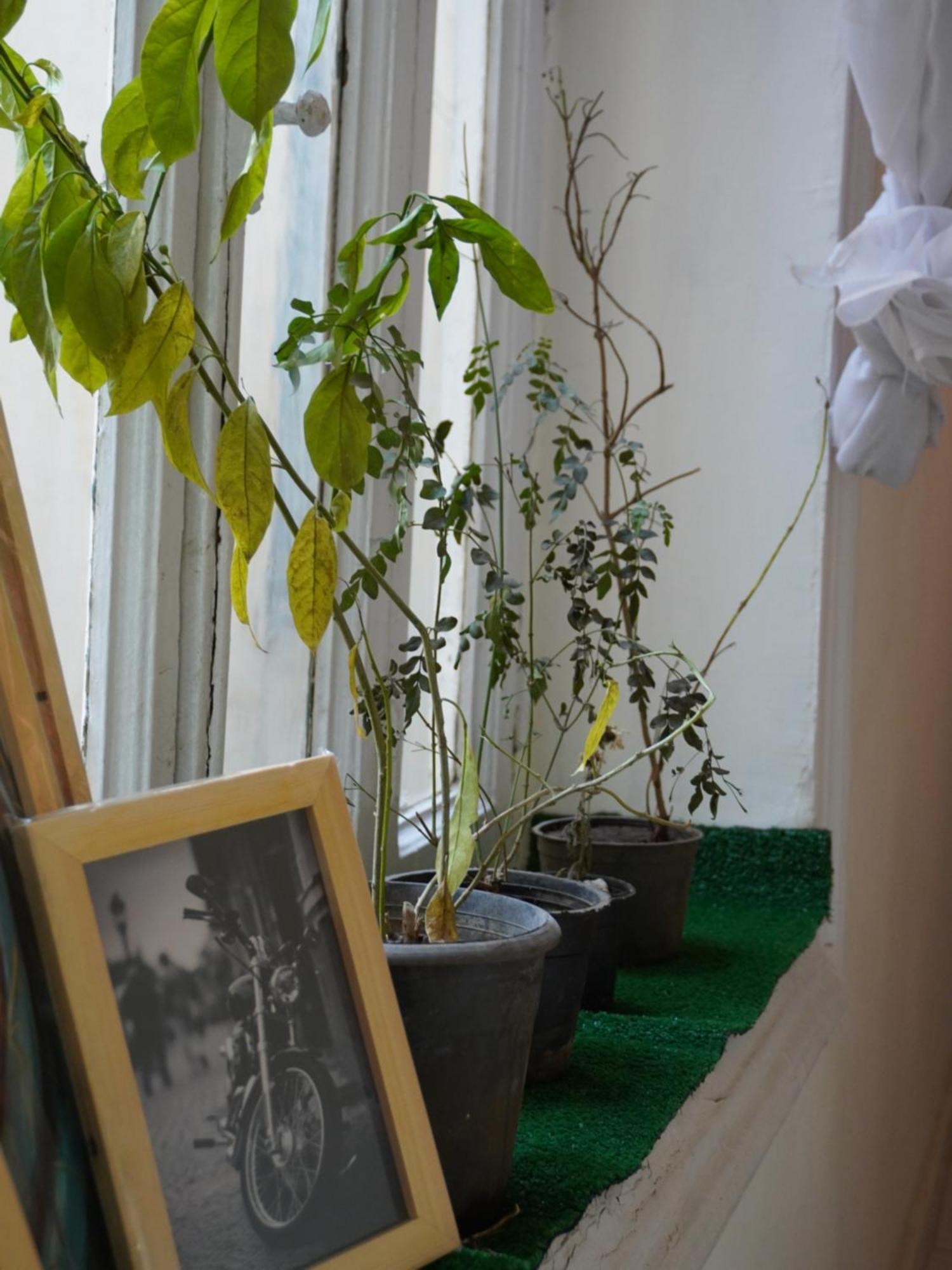 Rhala Hostel Egypt 开罗 外观 照片